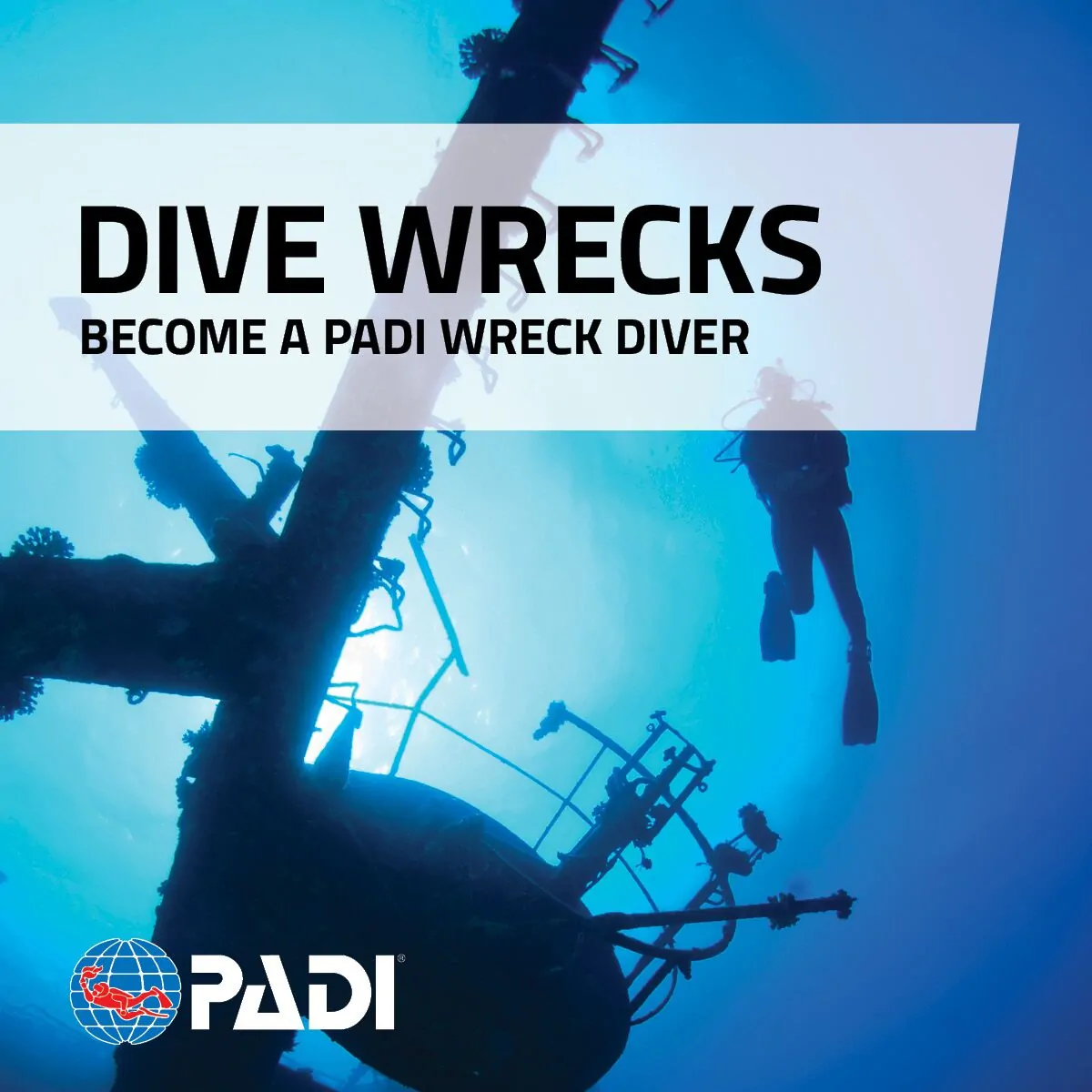 Wreck Diver