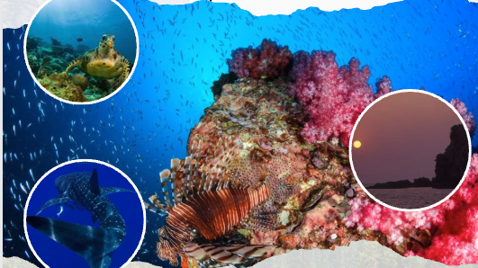 Myanmar Liveaboard 2027