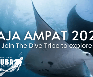 Raja Ampat Liveaboard 2028