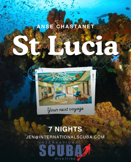 Anse Chastanet St Lucia Oct 24th -31st 2026