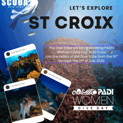 Womens Dive Day with The Dive Tribe in St Croix! July 16-21