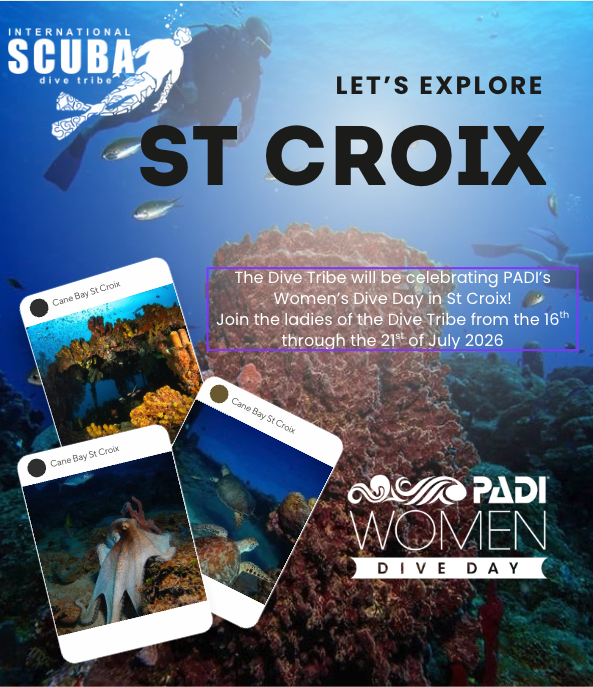Womens Dive Day with The Dive Tribe in St Croix! July 16-21