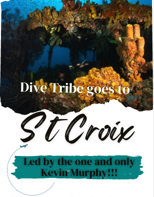 St Croix with Kevin Murphy! May 9th - 16th 2026